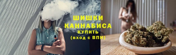 сатива Верхний Тагил