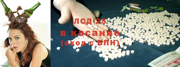 сатива Верхний Тагил