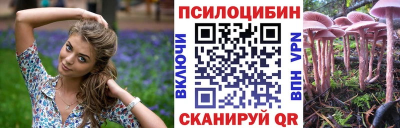 магазин  наркотиков  Зима  блэк спрут зеркало  Галлюциногенные грибы Psilocybe 